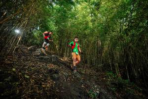 BIB: 
                            <button type="button" onclick="openModal(25103310)" class="btn btn-primary btn-sm float-right btn-popup" data-toggle="modal" data-target=".modal-high-quality">
                        <i class="fas fa-shopping-cart"></i> Add to Cart
                    </button>
                                            <button type="button" onclick="isThisMe(25103310, true)" class="btn btn-success btn-sm float-right btn-popup btn-isme hidden" data-toggle="tooltip" data-placement="bottom" title="นี่คือรูปของคุณใช่ไหม คลิกที่นี่เพื่อเอาเข้าอัลบั้ม">
                        <i class="fas fa-plus"></i> Add to album
                    </button>
                    <button type="button" onclick="isThisMe(25103310, false)" class="btn btn-warning btn-sm float-right btn-popup btn-isnotme hidden">
                        <i class="fas fa-ban"></i> Remove from album
                    </button>